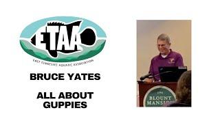 All About Guppies w/ Guppy Breeder Bruce Yates at the East Tennessee Aquatic Association in August