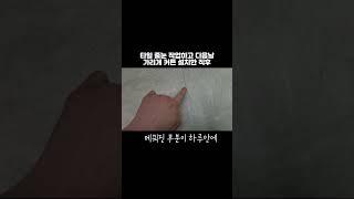 다이소 줄눈시공 보수제 사용 하루뒤 모습 ㅎㄷㄷ