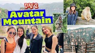 Zhangjiajie Travel Vlog | Day 2: tianzi mountain + bailong elevator + whip river + night swimming