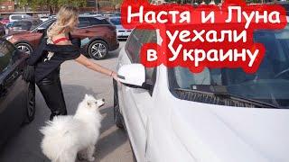 VLOG Настя уехала в Украину, а мы остались