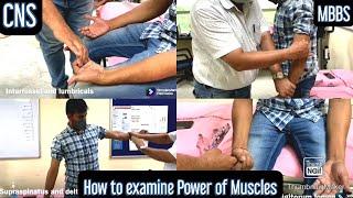 How to examine Power (Strength) of Muscle | with Dr.Karee & Dr.Imtiyaz #medicine #mbbs #physiology