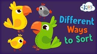 Sort the Same Group Two Different Ways | Preschool and Kindergarten | Kids Academy
