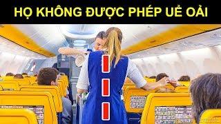 20 Điều Tiếp Viên Hàng Không Không Được Làm Dù Bất Cứ Giá Nào