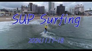 SUP Surfing (2024/11/18)