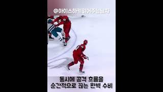 가장 완벽한 바디체킹 #nhl