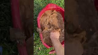 Oddly Satisfying Mud Cleaning | Revealing Hidden Treasures #oddlysatisfying #satisfying