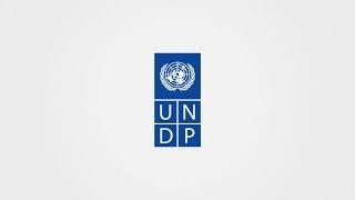 What does UNDP Turkey do and how it works?