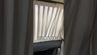 카니발 커튼 여름날 차박에 활용하기 좋음!
