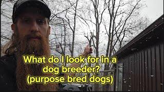 What I look for in a dog breeder, comment response