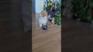 콩이의 하루