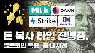 알트코인 폭증, 곧 내차례