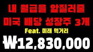 내 월급을 앞질러줄 미국 배당 성장주 3개 (feat.미래먹거리)