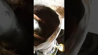 Traditional Mustard Oil Making Process