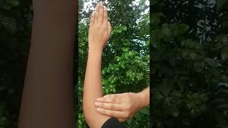 mehndi in nature   #popular #mehndi #trending #trendingshorts #nature #viral #song #youtubeshorts