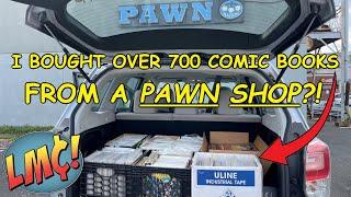 I Just Bought a HUGE Collection of Comic Books... from a PAWN SHOP?! Great Deal, or Big Mistake?