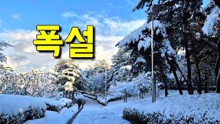 117년만에 11월 최대 폭설 출근 길 | 눈 올 때는 텐동이지