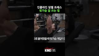 인클라인 덤벨 프레스 윗가슴 잘 쓰는 법