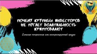 Почему крупных инвесторов не пугает волатильность криптовалют