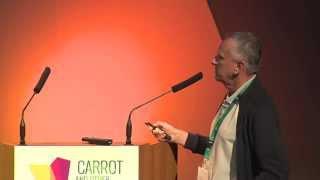 Wild fennel culinary uses: an overview, preliminary on-field documentation, analytical perspectives