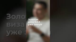 ️ЗОЛОТАЯ ВИЗА ОАЭ УЖЕ ЗАВТРА #инвестиции #пассивныйдоход #оаэ #недвижимость #виза #жизньвдубае