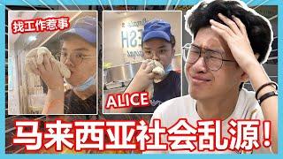 ALICE找工作！惹是生非！可以不要在关注这种社会乱源吗？【大棒TALK】