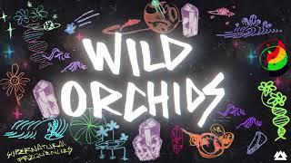 LSDREAM, Karra - Wild Orchids [OFFICIAL VISUALIZER]