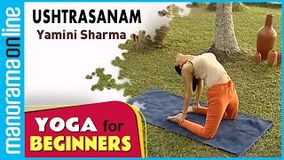 Ushtrasanam  | Yoga for beginners by Yamini Sharma | Health Benefits | Manorama Online