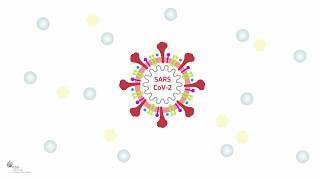 Covid19: How to coat SARS-CoV-2 and create immunity