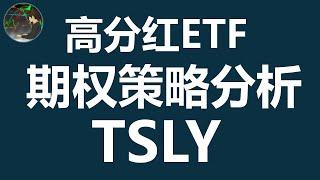 50%的高分红 | 你赚的是收益，还是自己的本金？| TSLY ETF | 期权策略分析 | 特斯拉高分红ETF