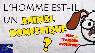 L'HOMME EST-IL UN ANIMAL DOMESTIQUE ? Feat. Mac Hairod - Parlons Evolution    #néoténie