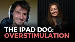 The iPad Dog: Overstimulation and Its Impact on Your Dog’s Behaviour