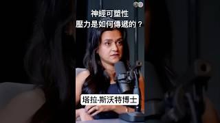 神經可塑性：壓力是如何傳染的？～塔拉·斯沃特博士 #神經科學 #意識 #壓力管理 #心理健康 #consciousness #neurosciences #mindhealth #pressure