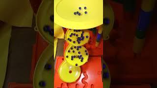 Marble Run ASMR Wooden slope Cobalt Blue marbles 2025-6/21#marblerun#marblerace#marblesrace#マーブルラン