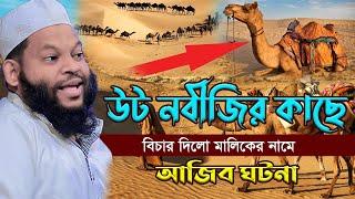 উট নবীজির কাছে বিচার দিলো মালিকের নামে আজিব ঘটনা,ক্বারী সাইদুল ইসলাম আসাদ,bangla waz,new waz 2023