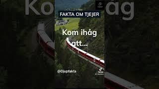 När du skriver till en tjej och… #fakta #fördig #sverige #tiktokviral #tjejer #humor #killar #shorts