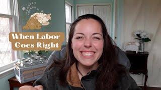 Sheep - Labor - What It Should Look Like