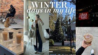 WINTER VLOG! (christmas festivities, bayshore walks, cozy winter things!!)