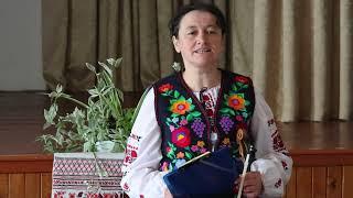 "Бойківські традиції: латкання при різанні барвінку"