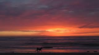 sky turns pink in Pacific Beach at 8x in 4k