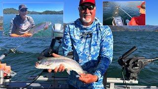 Shasta King Salmon & Rainbows