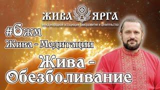Медитация ЖИВА-ОБЕЗБОЛИВАНИЕ. Жива-Медитации. #6жм. Владимир Куровский.
