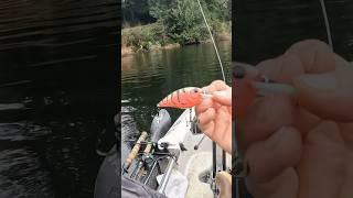 Kayak SPRINGTIME Bass Fishing 6th Sense Fishing FLATSIDE #yakventures #kayakbassfishing #Bass