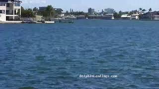 Dolphin Landings Charter Boat Center Live Stream