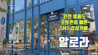 [cafe AllorA] 인천l 영종도l 카페알로라l 애견동반카페l 넙디카페l 운서동카페l VLOG