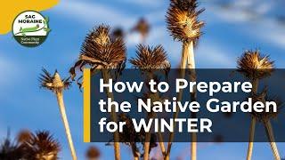 How to Prepare the Native Garden for WINTER ️