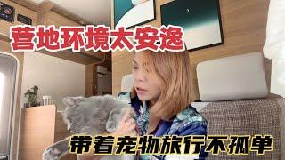 房车旅行伴侣和女司机入住免费营地的第二天，猫狗双全房车旅行一点也不孤单【KO的旅行日记】