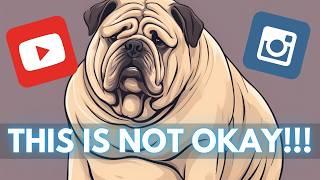 Stop Normalizing Obese Dogs – They’re Not Cute, They’re at Risk!