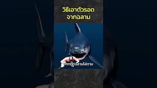 วิธีเอาตัวรอดจากฉลาม #สารคดี #เรื่องเล่า