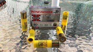 Winchester Super X 2 3/4” 20GA 3/4 Ounce Slug - Breakdown