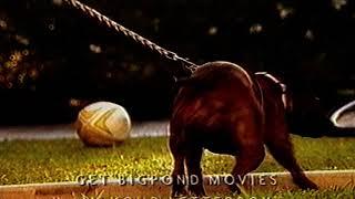 Telstra Bigpond Movies - TV Ad - Australia 2007